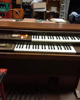 Organo elettronico Fair lady