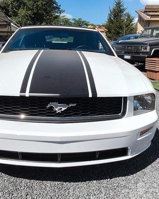 Ford Mustang 4.0 cc Shelby