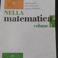 Nella Matematica 1 - Scuola superiore/Liceo