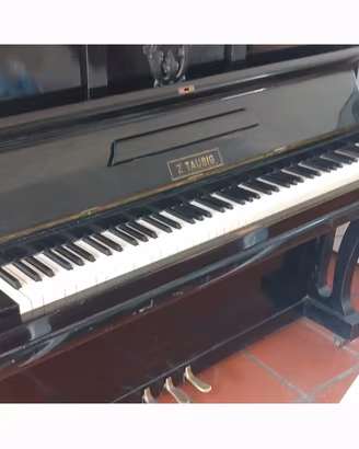 Pianoforte Hofmann perfetto