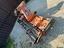 Immagine 13