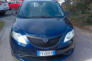 Lancia Ypsilon 1.2 69 CV 5 porte Elefantino Blu