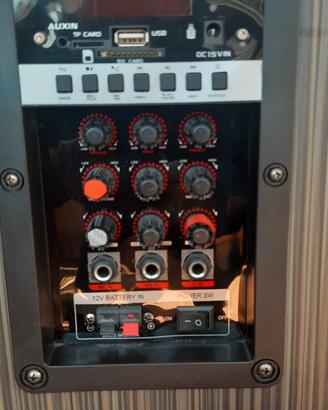 Cassa Amplificata 