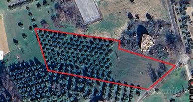 Terreno Edificabile + Oliveto