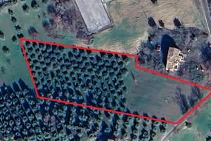 Terreno Edificabile + Oliveto