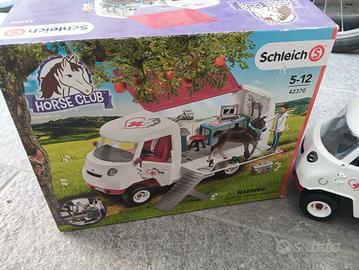 Horse club e veterinario 