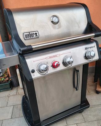 Weber Spirit SP 335 con accessori