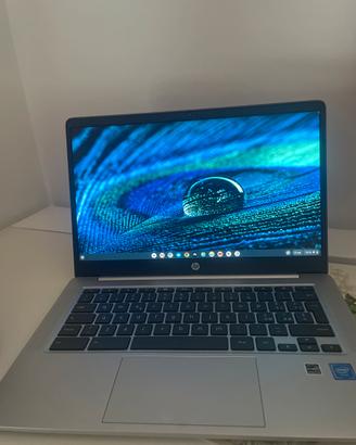 HP Chromebook 14” grigio