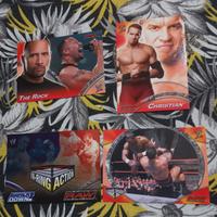 7 Topps Cards WWE 2004
