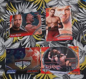 7 Topps Cards WWE 2004