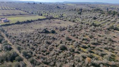 Terreno edificabile - Agro di Sassari