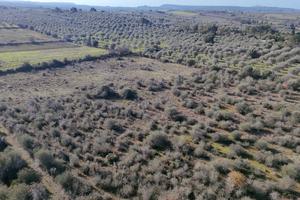 Terreno edificabile - Agro di Sassari