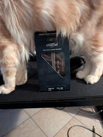 RAM crucial ballistix ddr4 3600 cl16