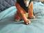Immagine 1
