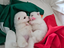 Immagine 5