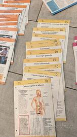 Enciclopedia schede doppie