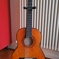 Chitarra 3/4 Eko