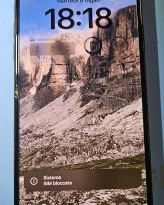 Schermo iPhone 11 Pro Max ORIGINALE