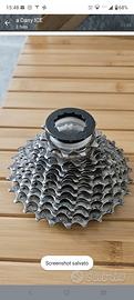 pacco pignoni Shimano 