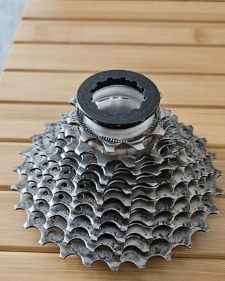 pacco pignoni Shimano 