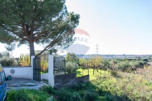 Terreno - Camporotondo Etneo