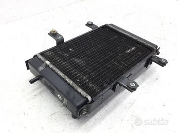 SYM JOYMAX 250 RADIATORE 2005 2007 LM25WX6