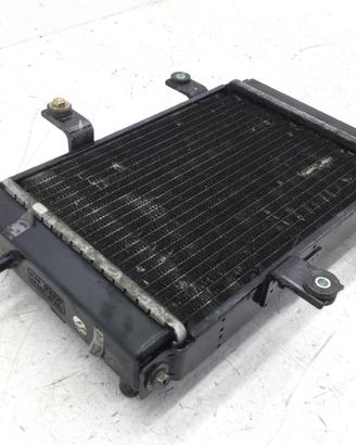SYM JOYMAX 250 RADIATORE 2005 2007 LM25WX6