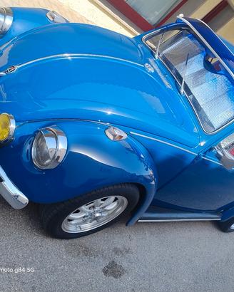 maggiolino 1300