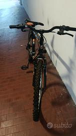 bicicletta ragazzo Frejus 