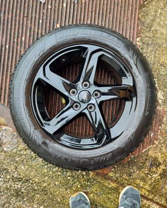 4 Cerchi Lega 16" Originali Ford Focus 2022 + Gomm