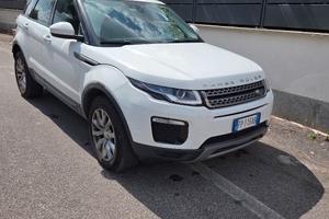Evoque 