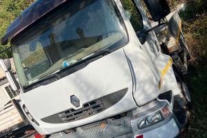 Renault midlum 220 con gru