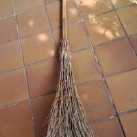 Scopa di saggina - giardino cortile - BOLOGNA