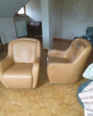 Coppia poltrone Natuzzi .