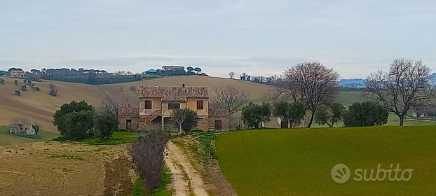 Casa colonica in zona Montefiore