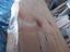 Immagine 26