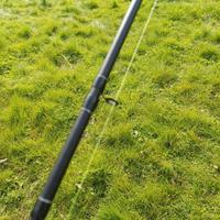 pesca traina