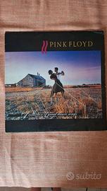 vinile pink floyd