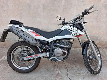 Beta ALP 4.0
