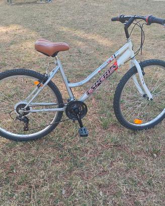 Mountain bike donna