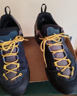 Salewa MTN Trainer GTX Men