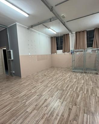Capannone adatto a deposito/magazzino con uffici