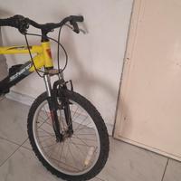 due bici  mountain bike a 100 euro