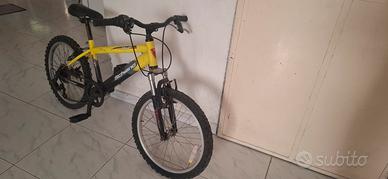 due bici  mountain bike a 100 euro