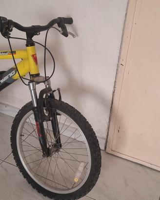 due bici  mountain bike a 100 euro