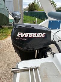 Motore evinrude 40cavalli e-tec del 2006