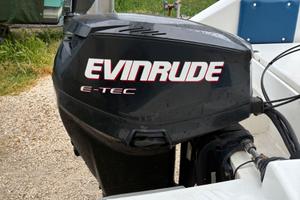 Motore evinrude 40cavalli e-tec del 2006