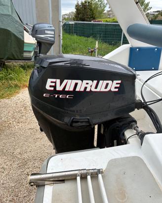 Motore evinrude 40cavalli e-tec del 2006