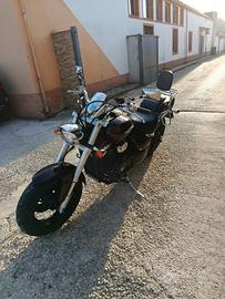 Suzuki intruder m800