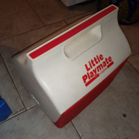 Mini frigo portatile con ghiaccioli